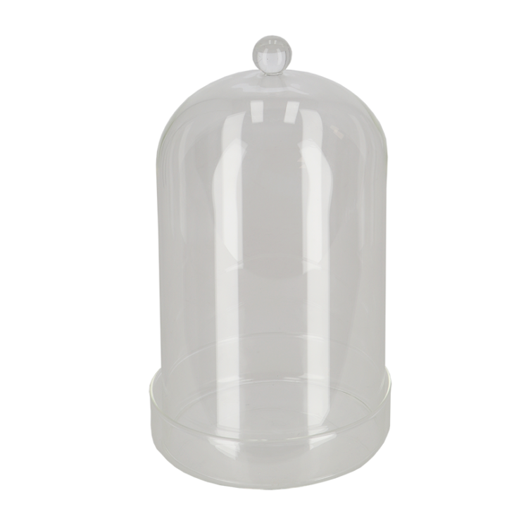 Glazen stolp met schaal S