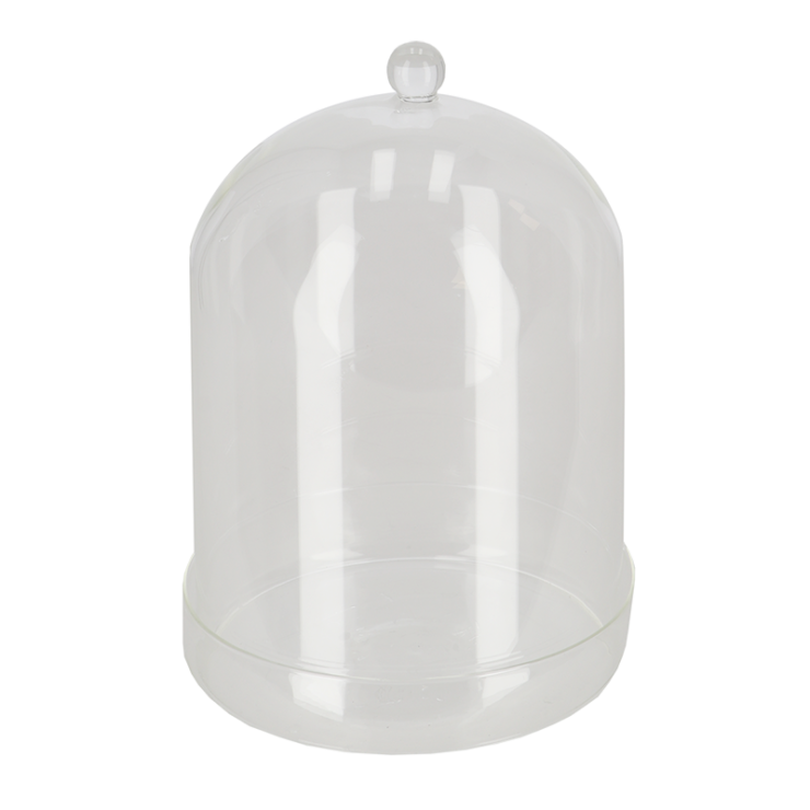 Cloche en verre avec soucoupe L