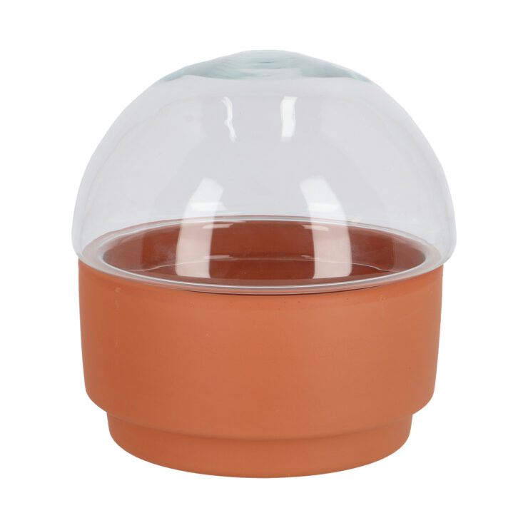 Terrarium plantenbak L