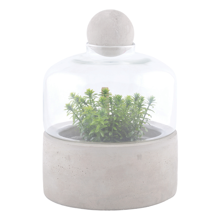 Anzuchtflasche Betonschale S