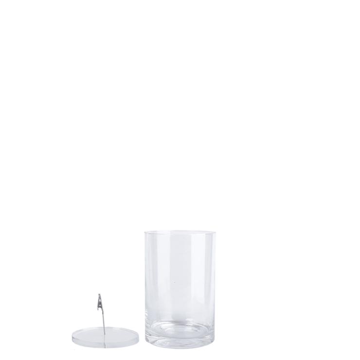 Submerged flower vase S