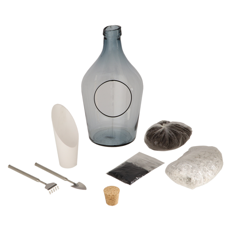 Ensemble de terrarium végétal à faire soi-même 3 litres