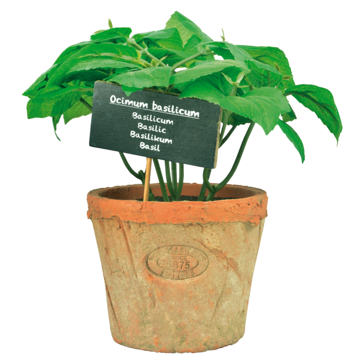 Kunst-Basilikum in AT Topf L