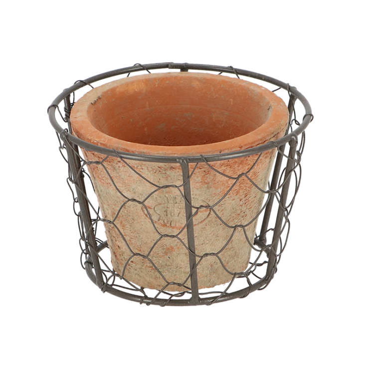 AT pot in wire basket