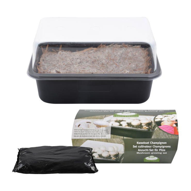 Set de culture champignons