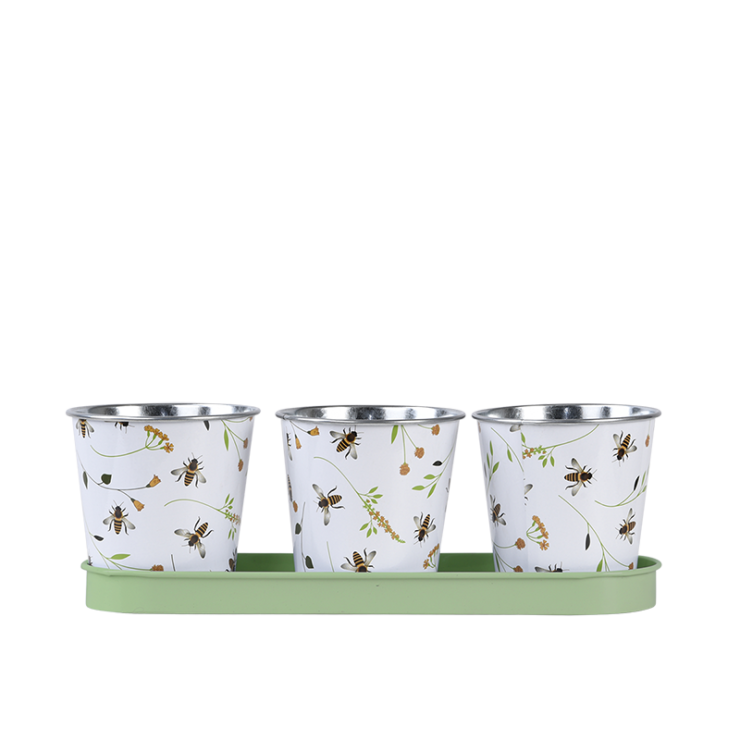 Drie potjes op tray met bijenprint