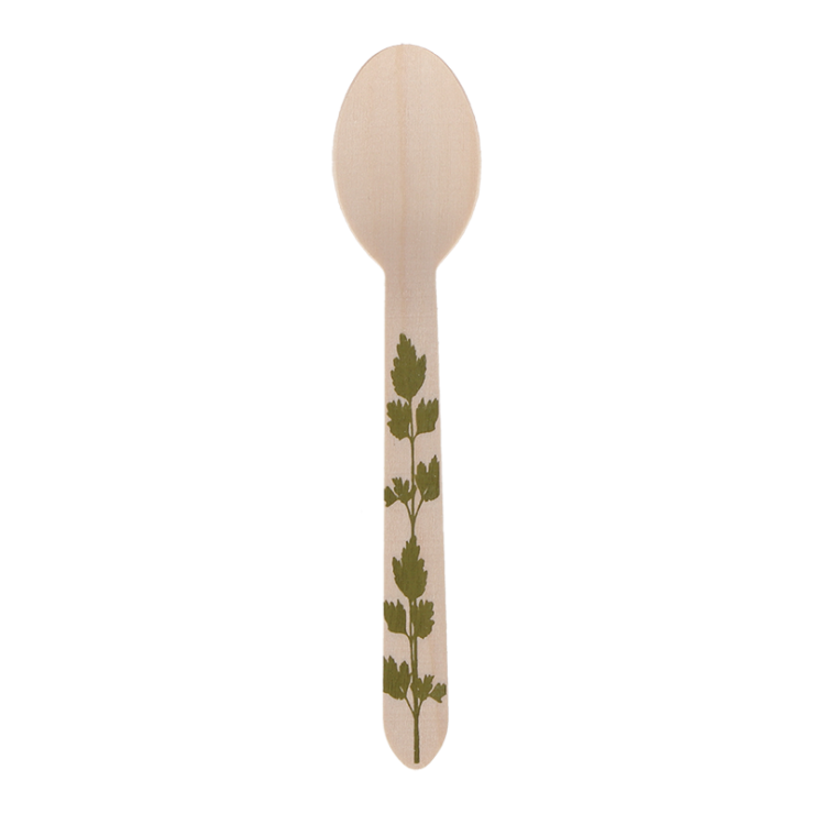 Wooden disposable spoon green set/20