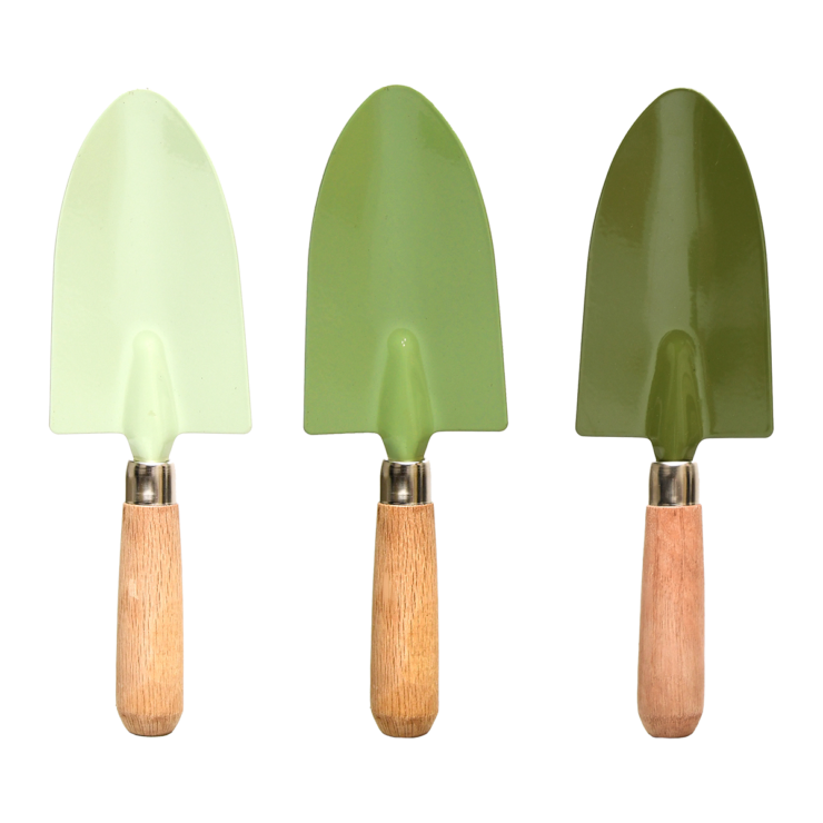 Grüntöne Handschaufel sortiert