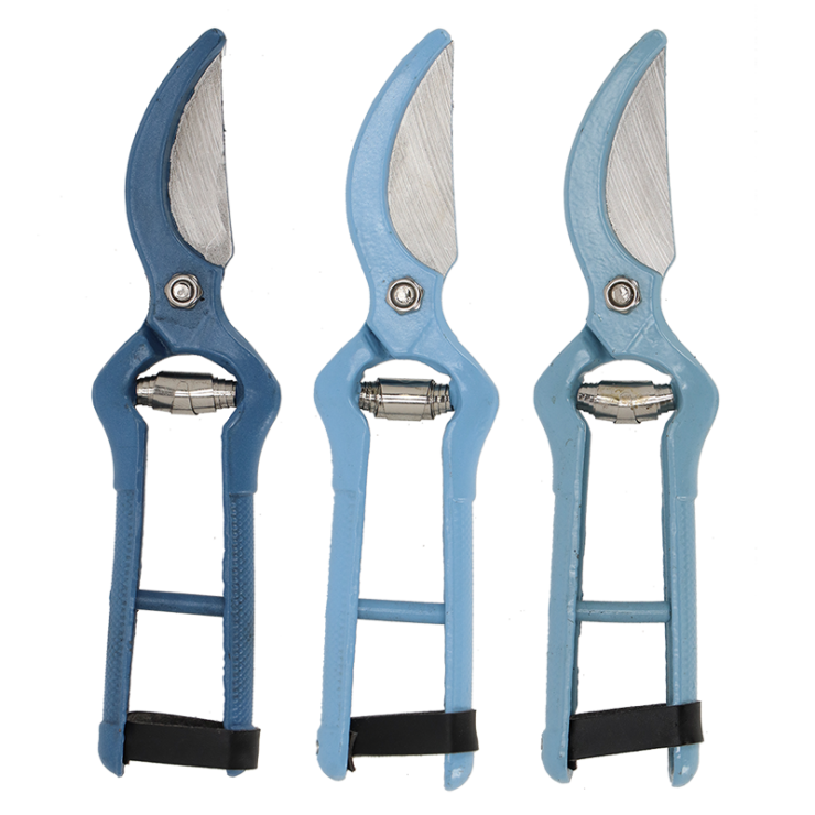 Nuances de bleu sécateur