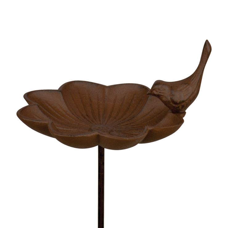 Bain oiseau a piquer L