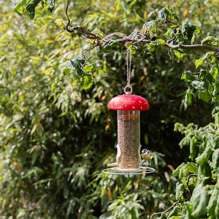 Mangeoire silo forme Amanite