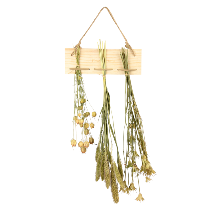 Blumen- und Kräutertrockner Gummib.