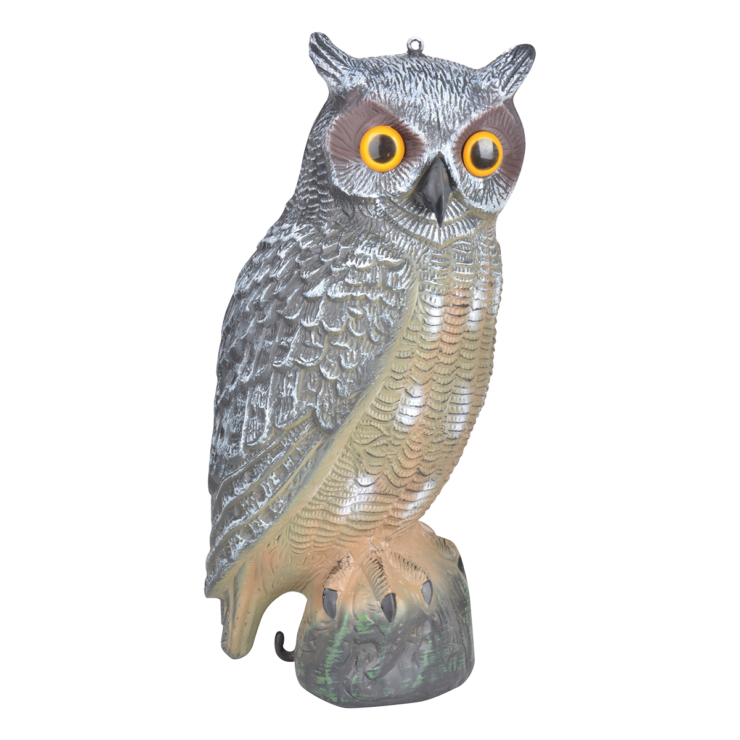 Vogelverschrikker Uil