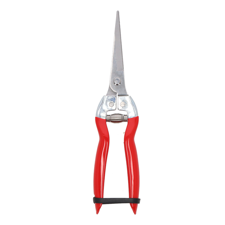 Thinning pruner