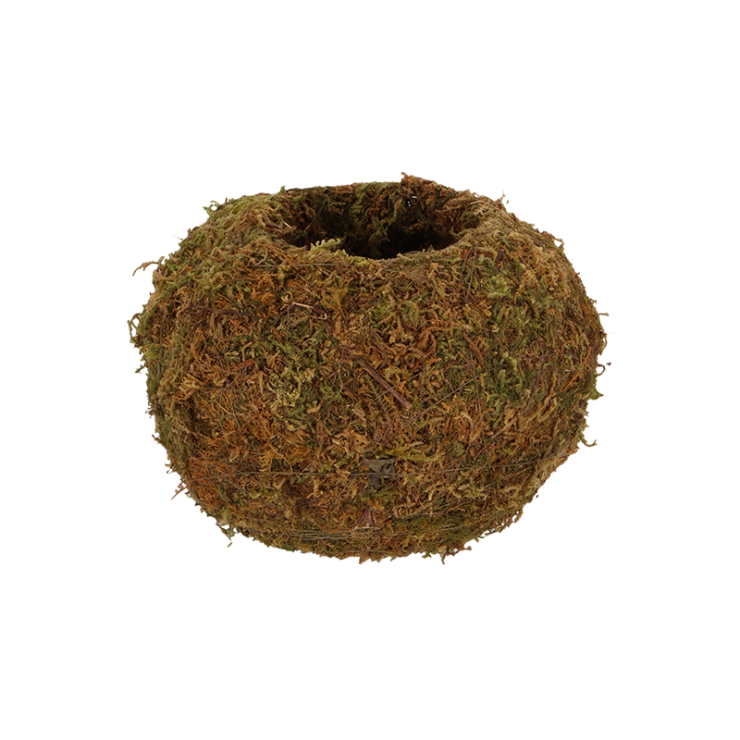 Kokedama boule de mousse M