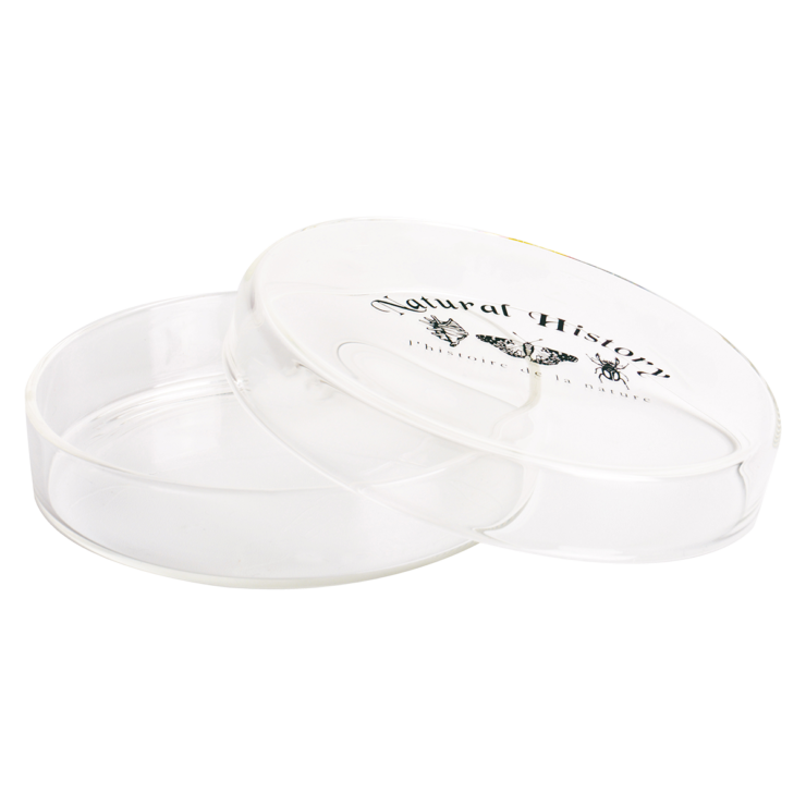 Boite de Pétri 120ml