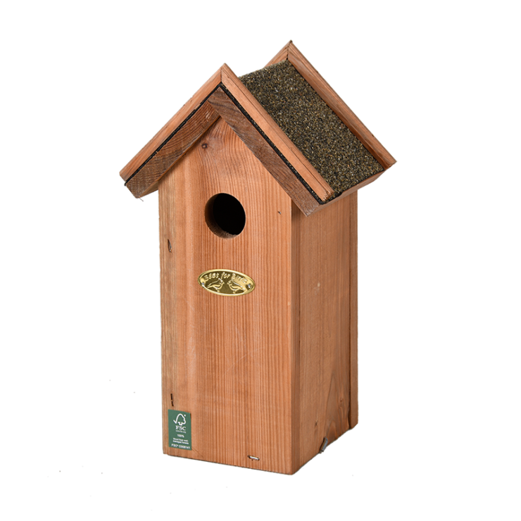 Nichoir antique/bitumen mésange bleu