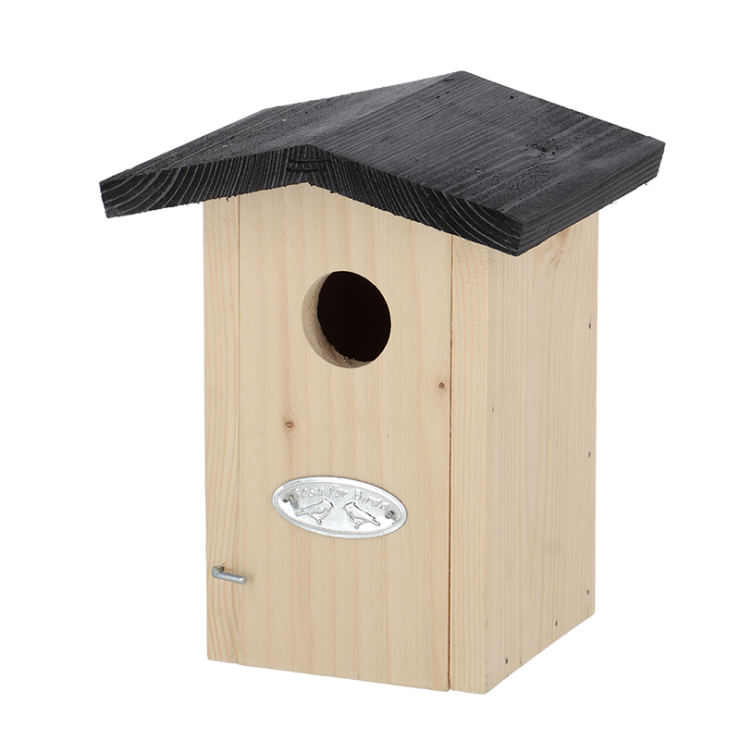 Bird house winter wren