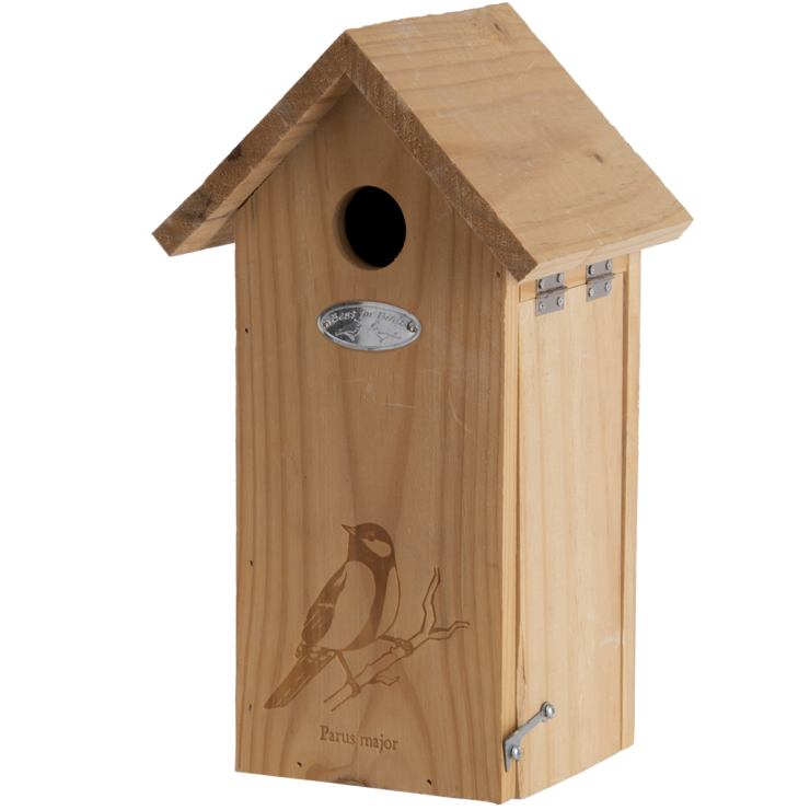 Kohlmeisenkasten mit Silhouette