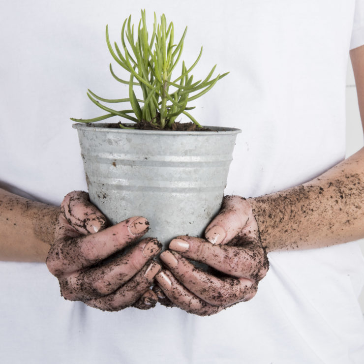 Pot à fleurs zinc patiné 14 cm