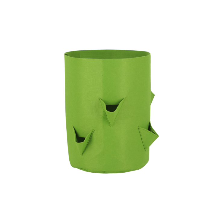 Pflanztasche Erdbeeren/ Kräuter