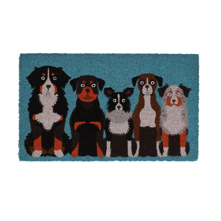 Doormat coir dogs L