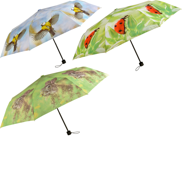 Faltbarer Schirm sortiert