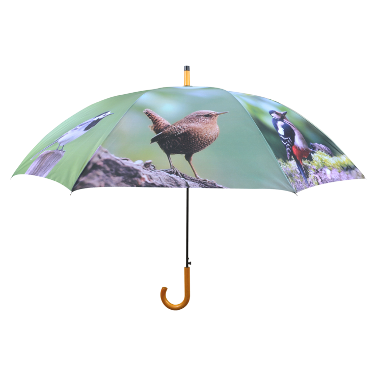 Parapluie Oiseaux