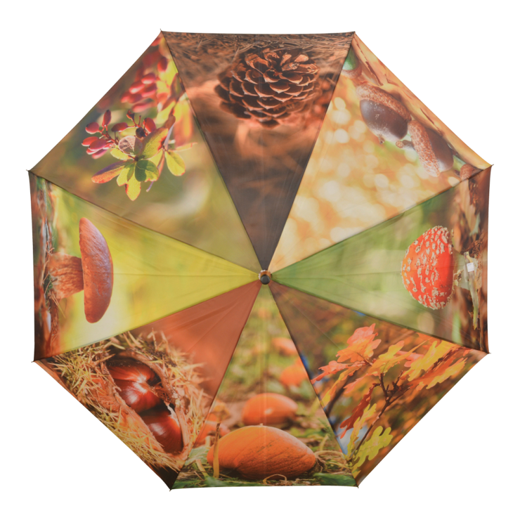 Paraplu herfstprint