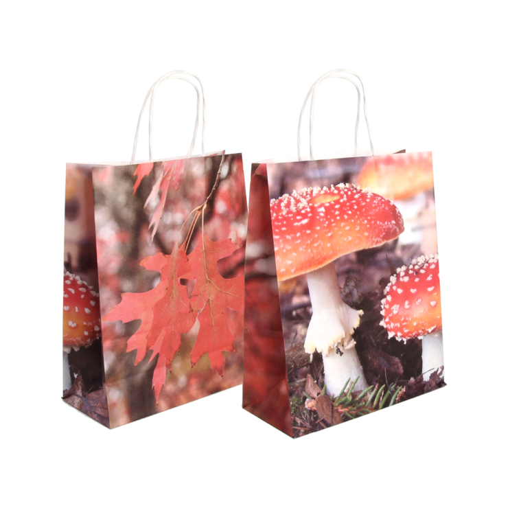 Papiertasche Pilz/Blätter S