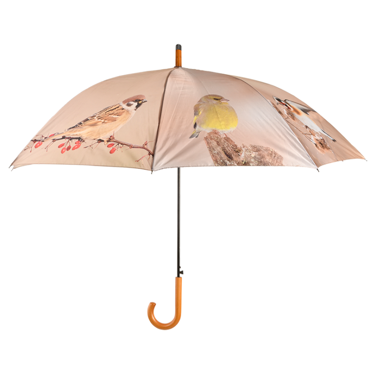 Winter birds umbrella