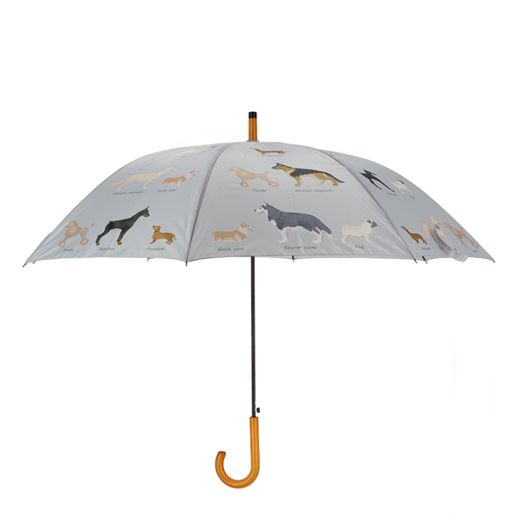 Umbrella dog breeds