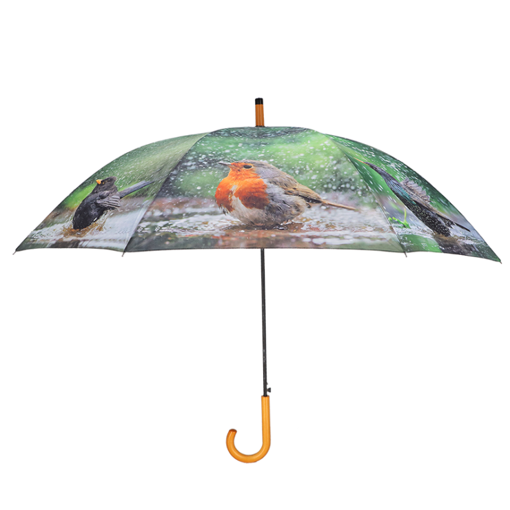 Paraplu badende vogels