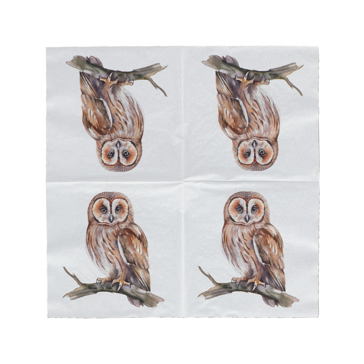 Paper napkins owl 33x33cm