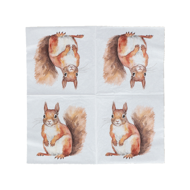 Serviette papier écureuil 33x33cm
