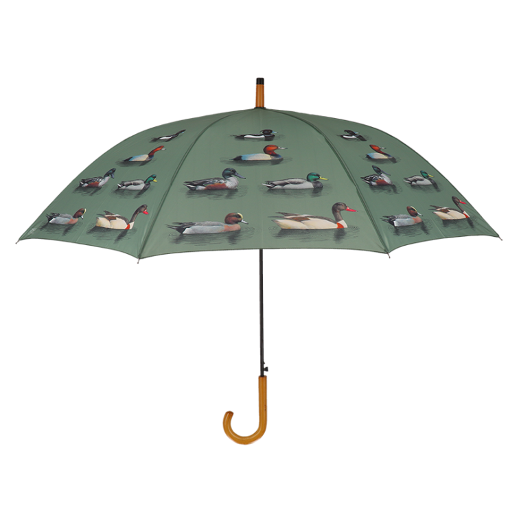 Parapluie variétés de canards