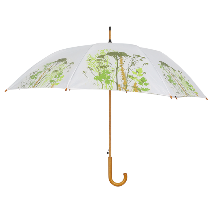 Kräuter- Regenschirm
