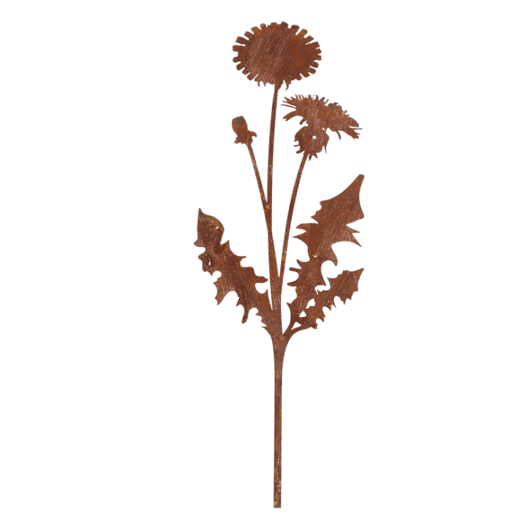 Roest tuinsteker paardenbloem