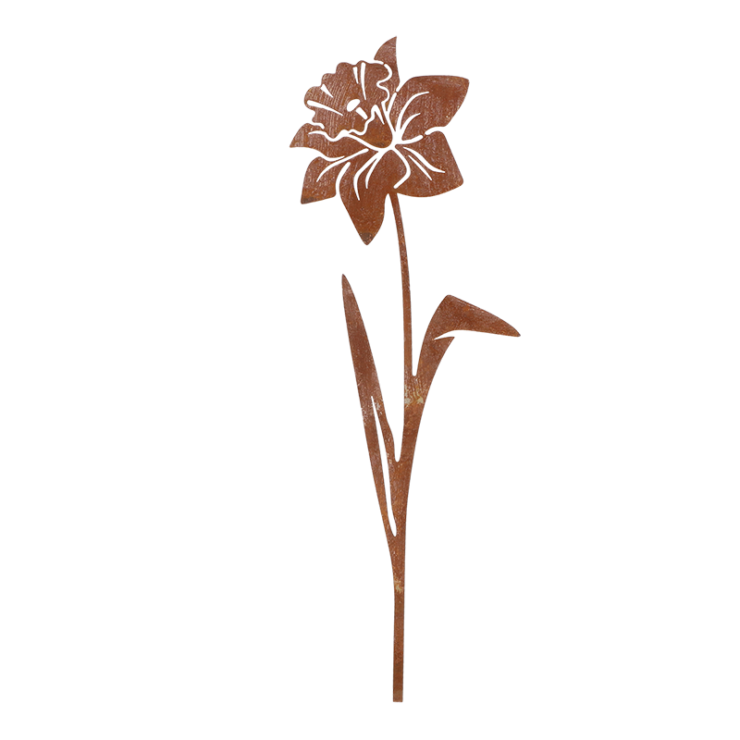 Rouille, tuteur narcisse