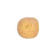 Pomme de terre