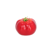 Tomate