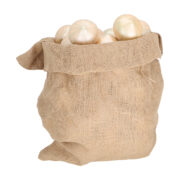 Zwiebel