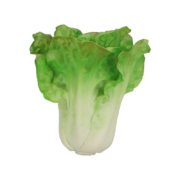 Sla