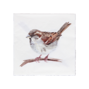 Papierservietten Spatz 33x33cm