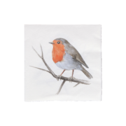 Paper napkins Europ. robin 33x33cm